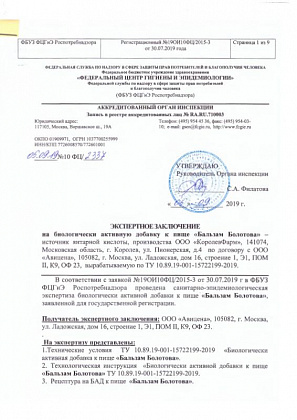 Экспертное заключение